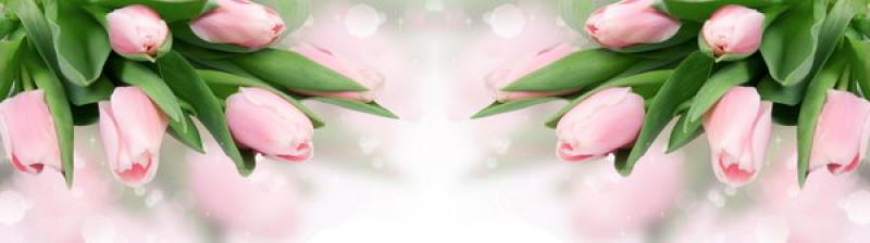 skinalli601