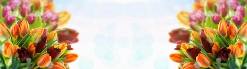 skinalli641